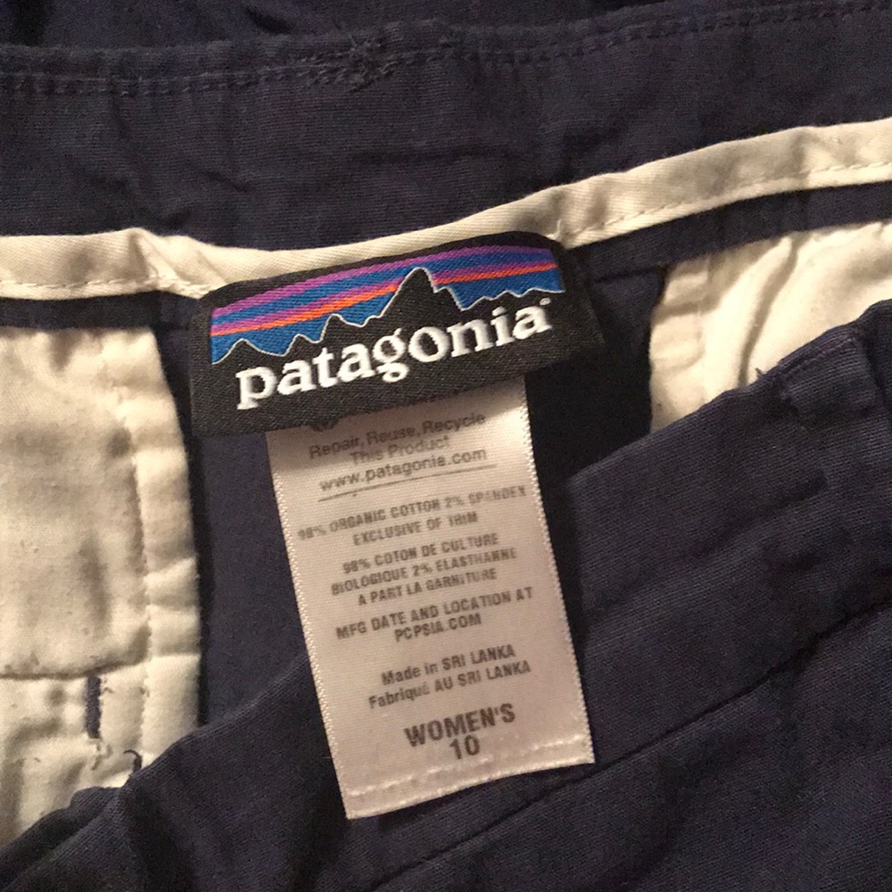 Navy Patagonia Pants